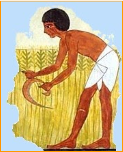 Один день из жизни раба 5 класс. Земледелие в древнем Египте 5. Рисунок земледельца в древнем Египте. Египетские земледельцы в древнем Египте. Земледелие в древнем Египте рисунок.